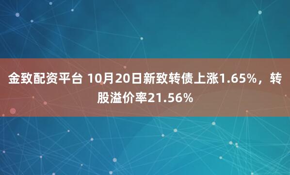 金致配资平台 10月20日新致转债上涨1.65%，转股溢价率21.56%
