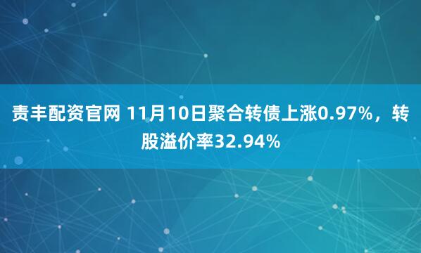 责丰配资官网 11月10日聚合转债上涨0.97%,转股溢价率32.94%