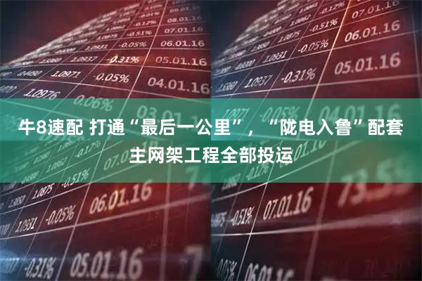 牛8速配 打通“最后一公里”，“陇电入鲁”配套主网架工程全部投运