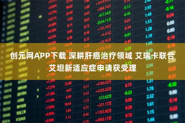 创元网APP下载 深耕肝癌治疗领域 艾瑞卡联合艾坦新适应症申请获受理