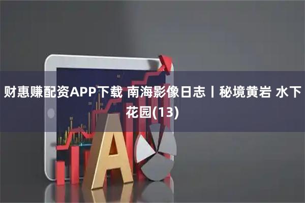 财惠赚配资APP下载 南海影像日志丨秘境黄岩 水下花园(13)